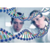 條碼鑒定技術(shù)/